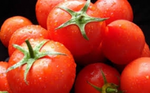 Россельхознадзор опроверг сведения о запрете на ввоз помидоров из Армении